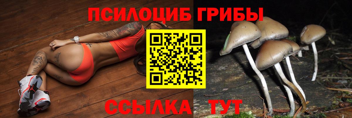 Нерюнгри  Псилоцибиновые грибы MAGIC MUSHROOMS  Вход с VPN 